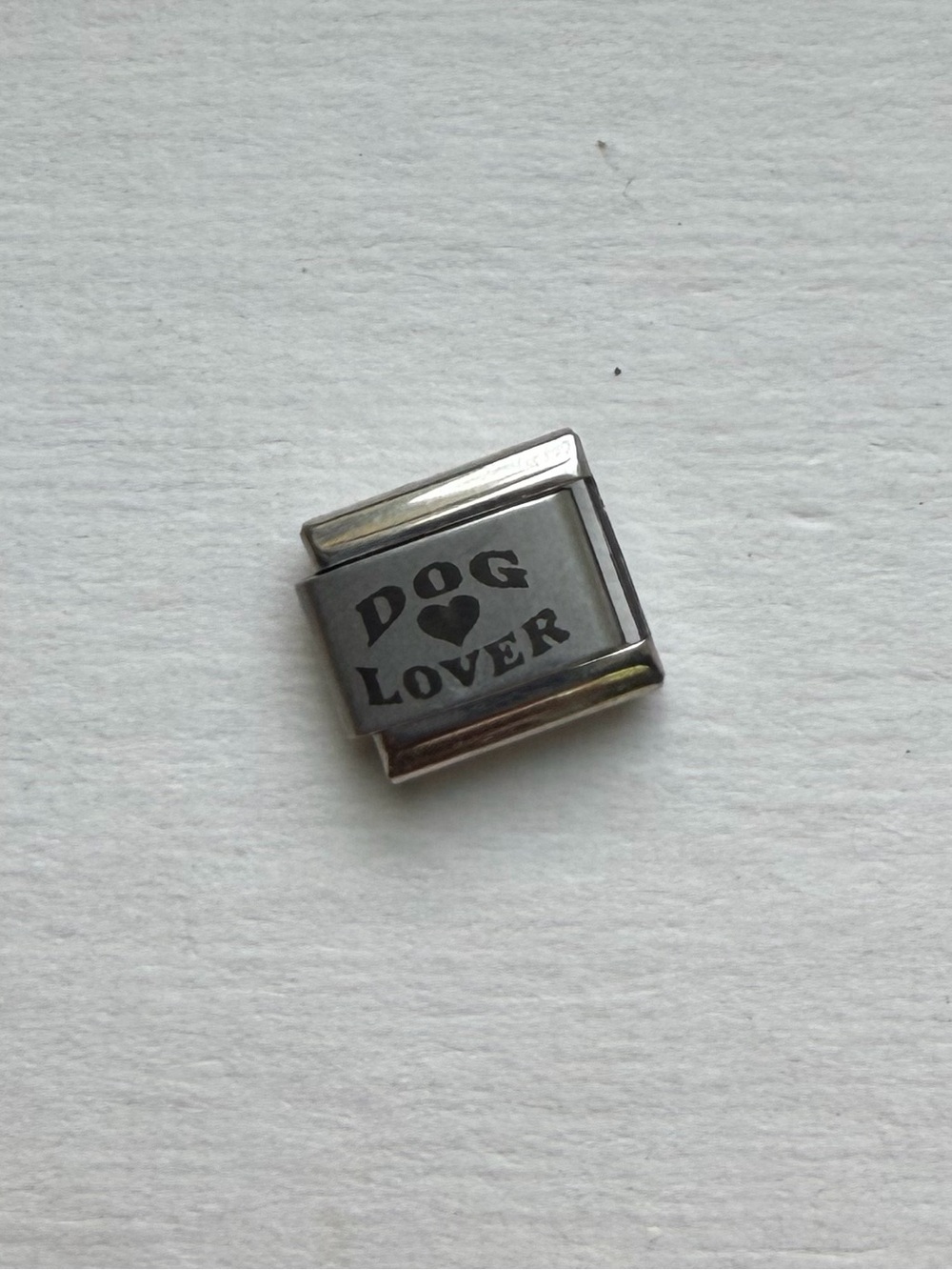 Dog Lover Italian Charm Link - Silver Tone